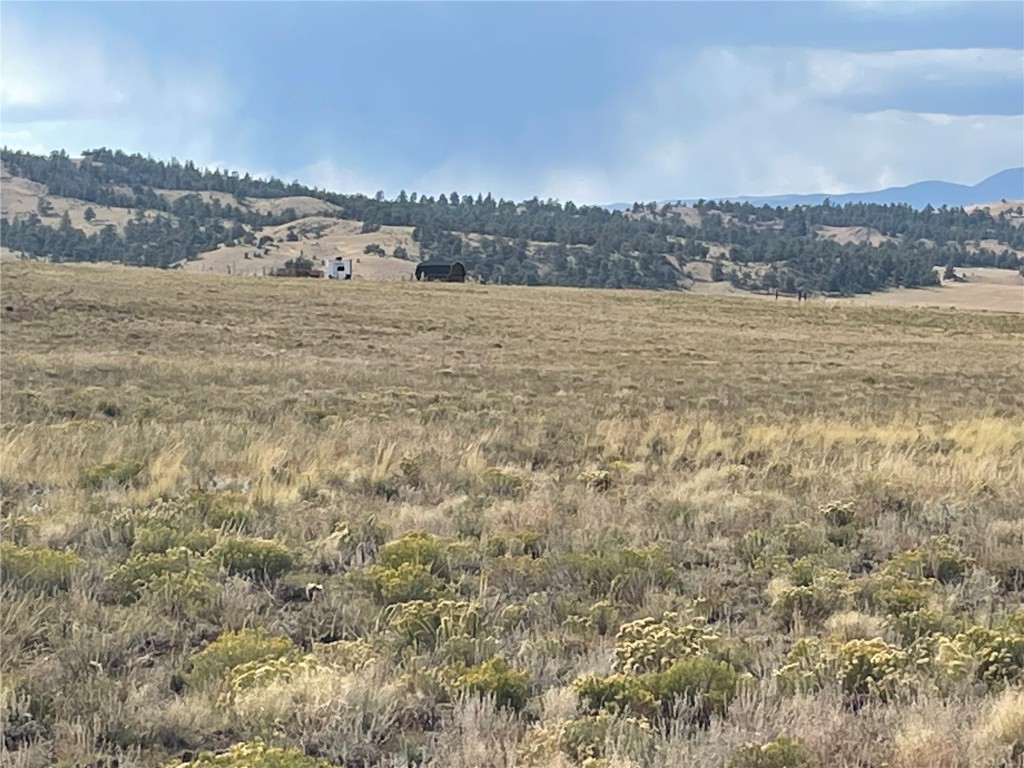 Hartsel Ranch Real Estate Listings Main Image