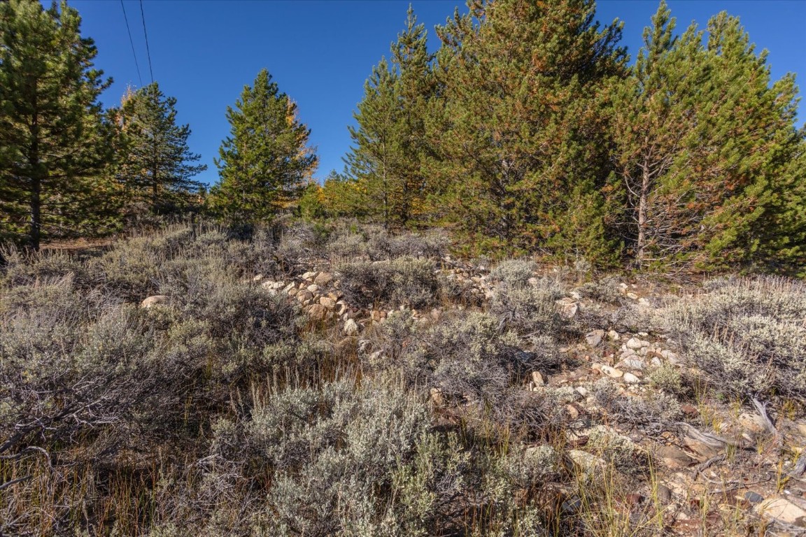 Tbd Tbd Property Photo 17