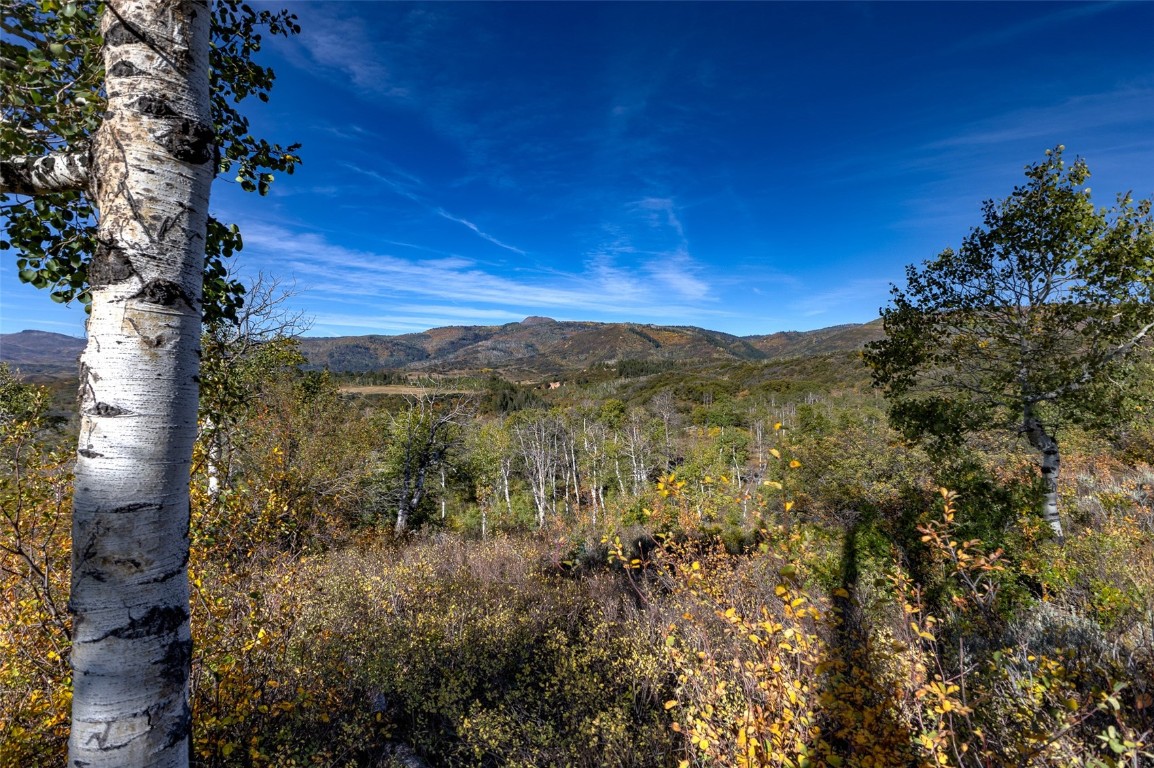 50560 Smith Creek Park Road Property Photo 2