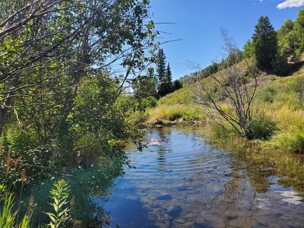 50560 Smith Creek Park Road Property Photo 4