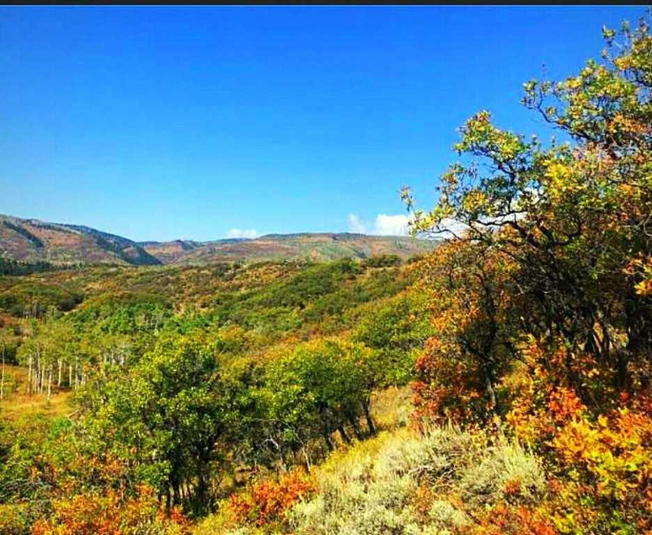 50560 Smith Creek Park Road Property Photo 6