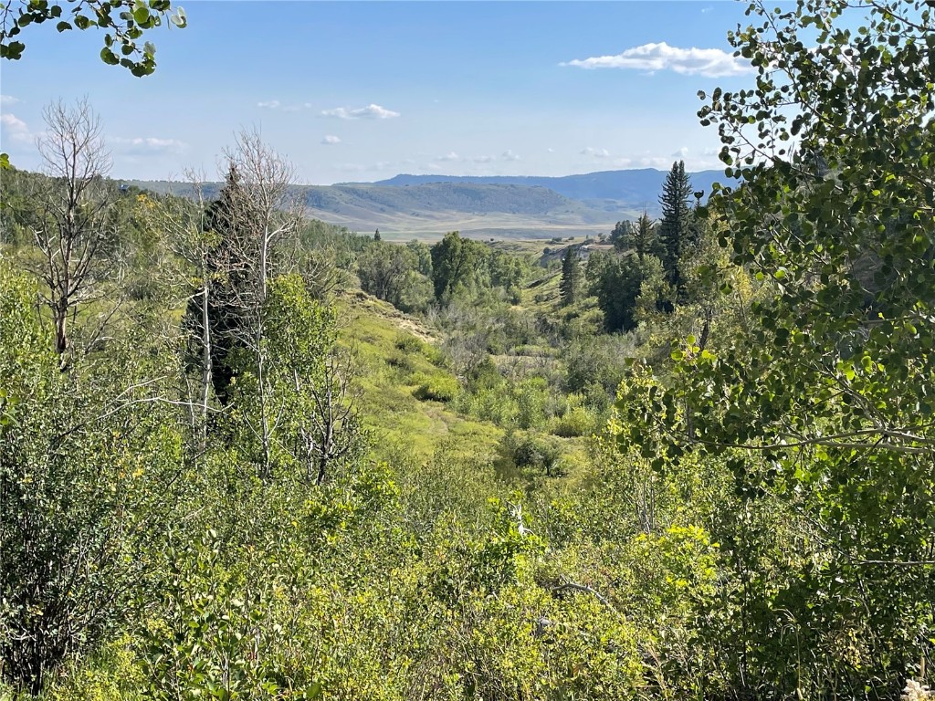 50560 Smith Creek Park Road Property Photo 7