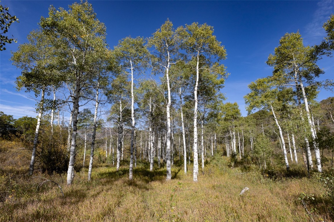 50560 Smith Creek Park Road Property Photo 8
