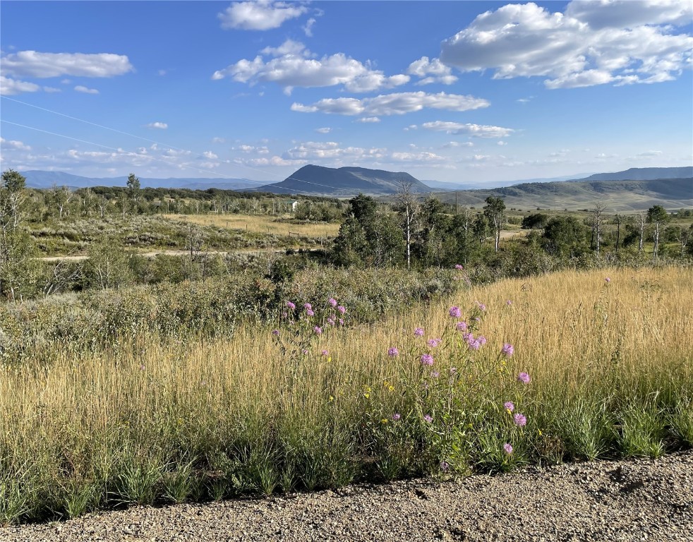 50560 Smith Creek Park Road Property Photo 10