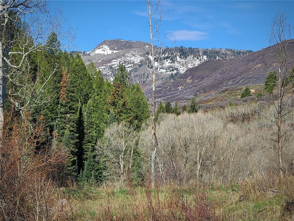 50560 Smith Creek Park Road Property Photo 11