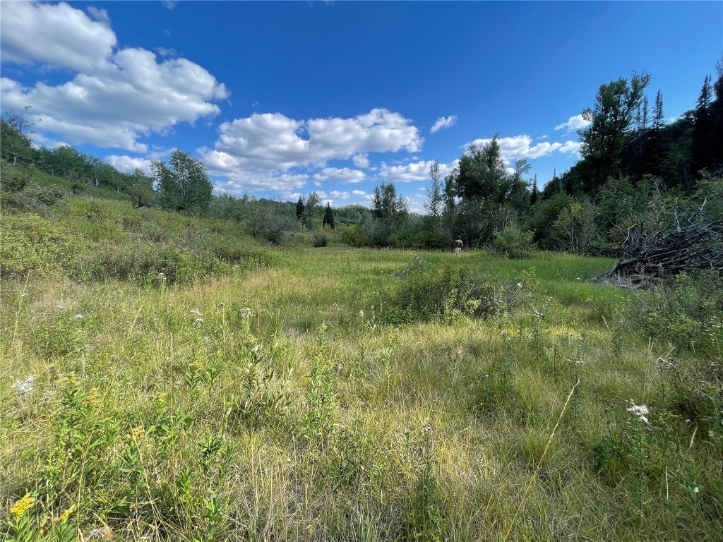 50560 Smith Creek Park Road Property Photo 13
