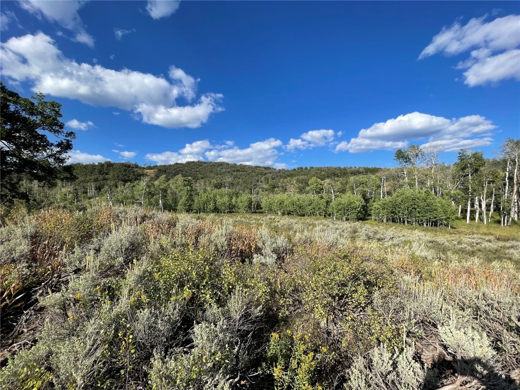 50560 Smith Creek Park Road Property Photo 14