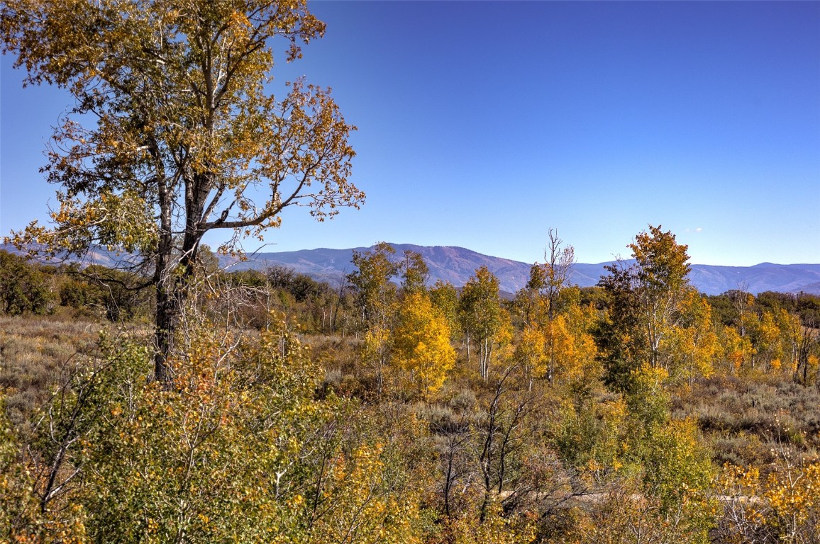 50560 Smith Creek Park Road Property Photo 17