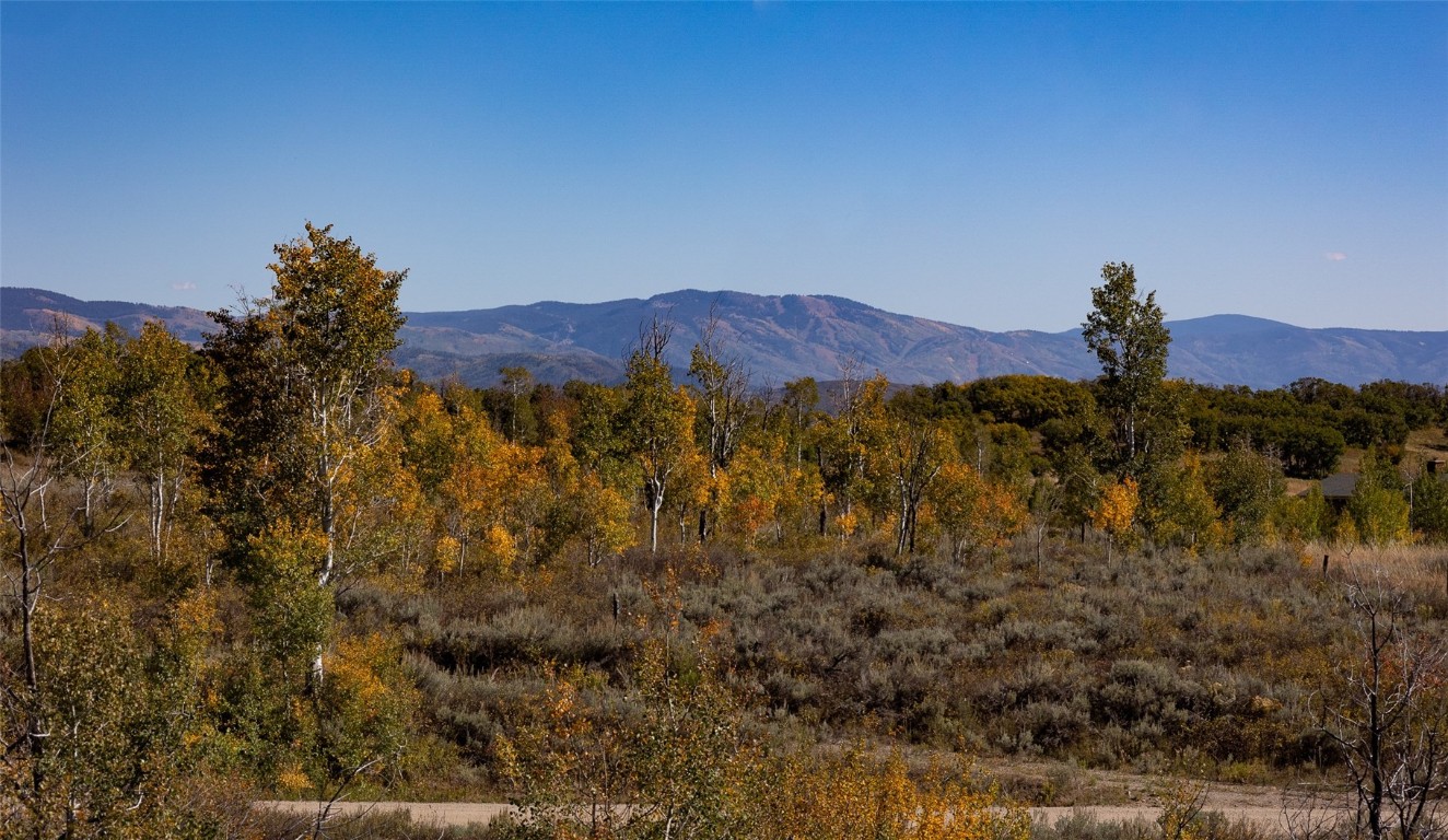 50560 Smith Creek Park Road Property Photo 20