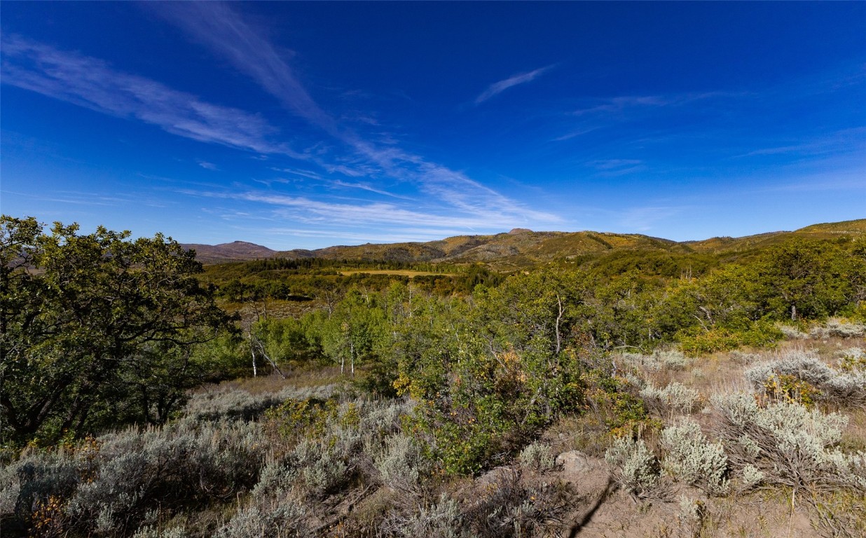 50560 Smith Creek Park Road Property Photo 21