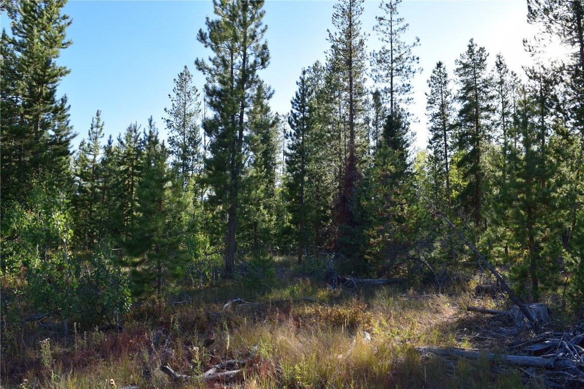 20935 Cayuse Way Property Photo 4