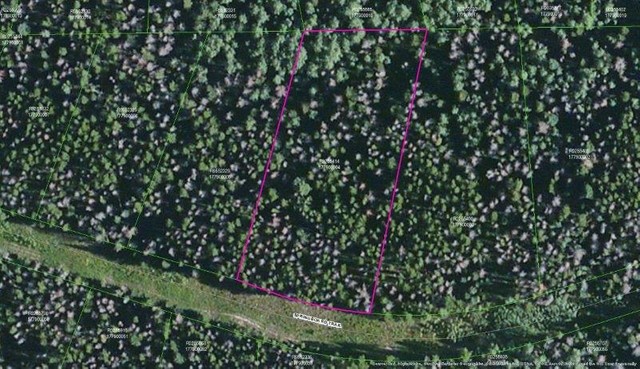 000 Springboard Trail Property Photo 6