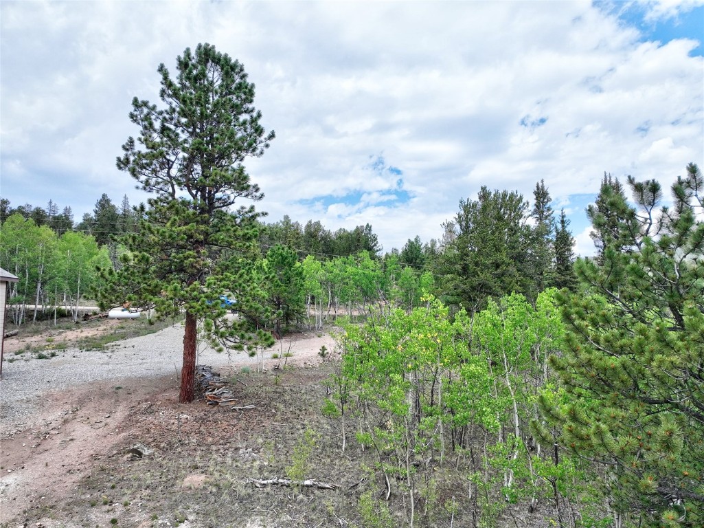 1840 Ute Trail Property Photo 19