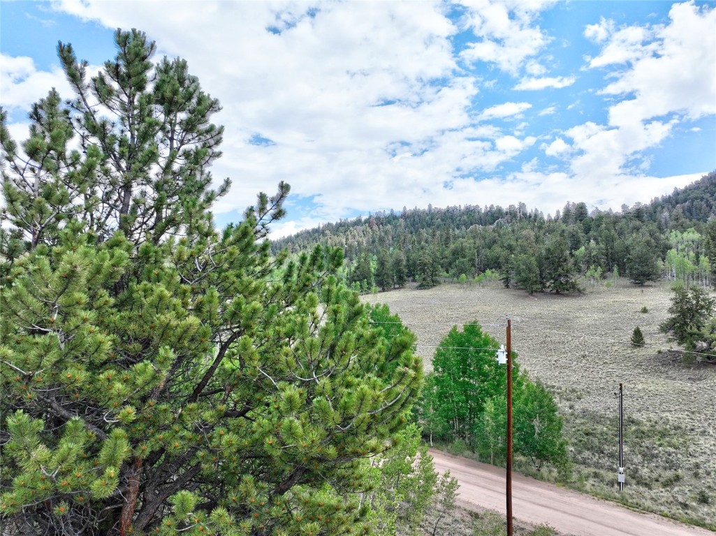 1840 Ute Trail Property Photo 26