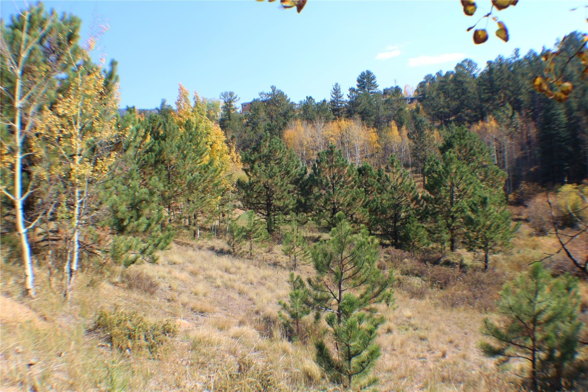 2020 Shelton Drive Property Photo 1