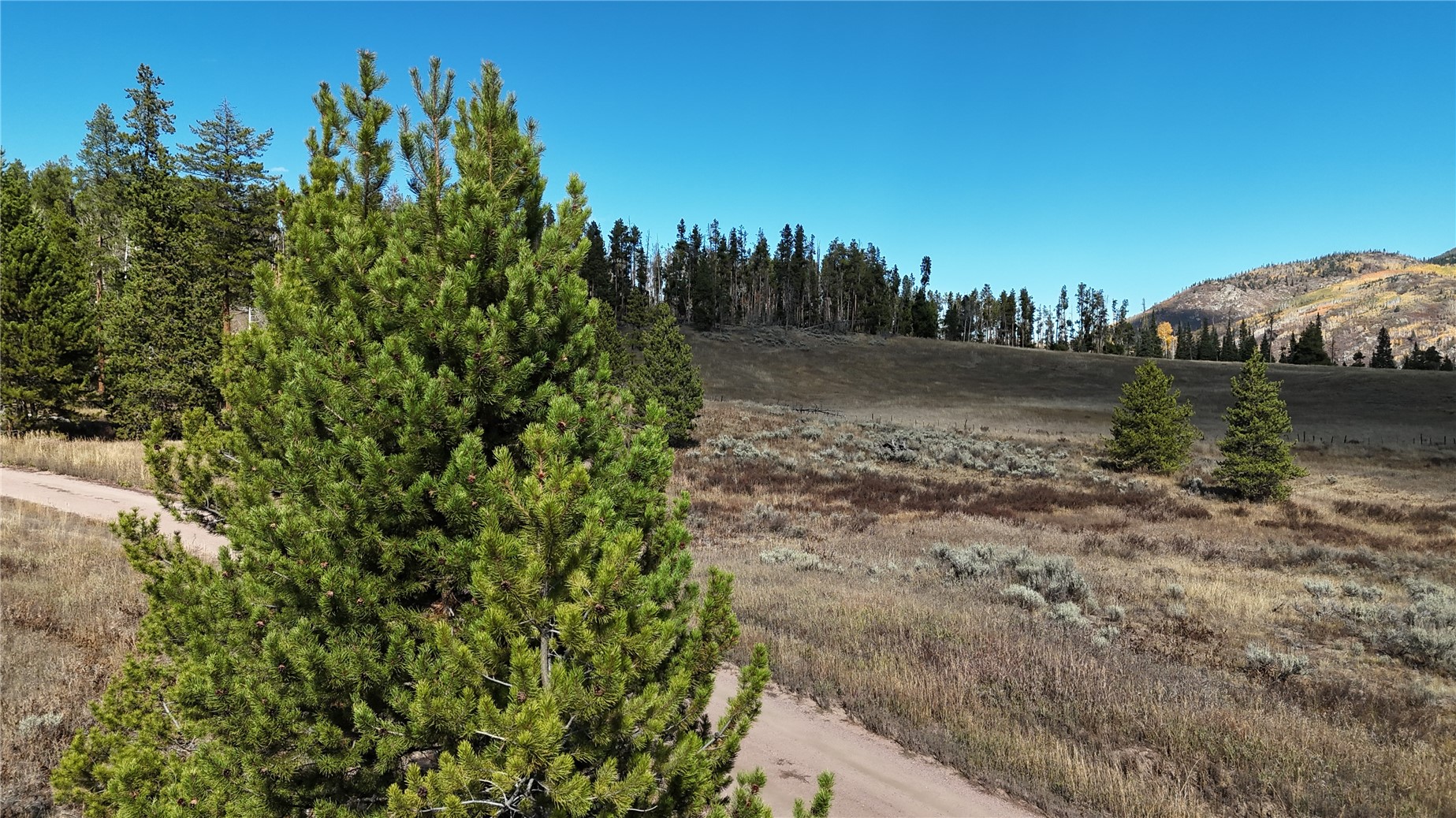 33653 Seneca Trail Property Photo 6