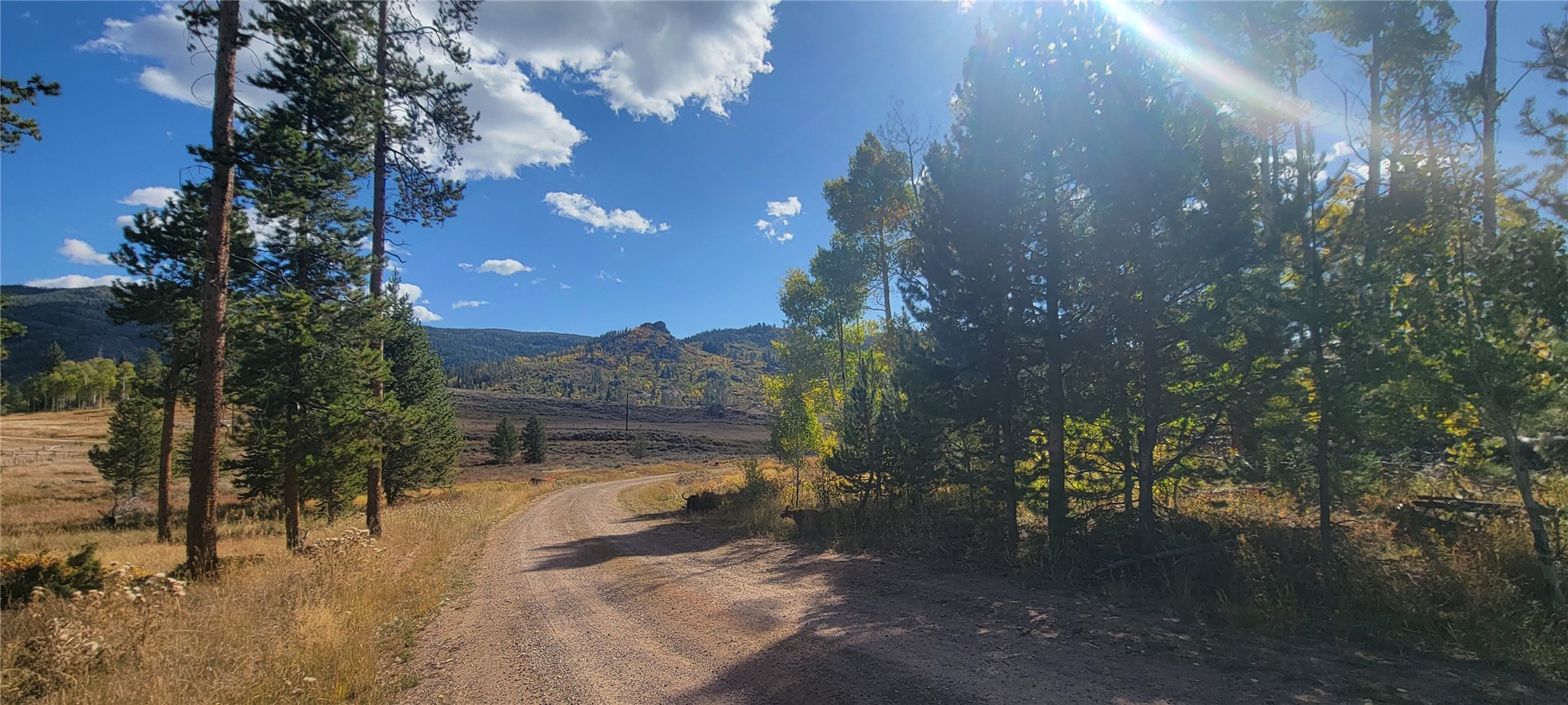 33653 Seneca Trail Property Photo 15