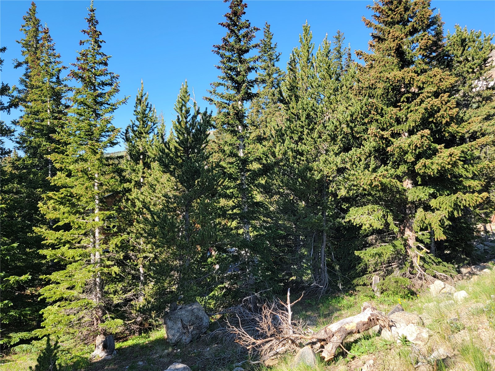 22 Rons Road Property Photo 9