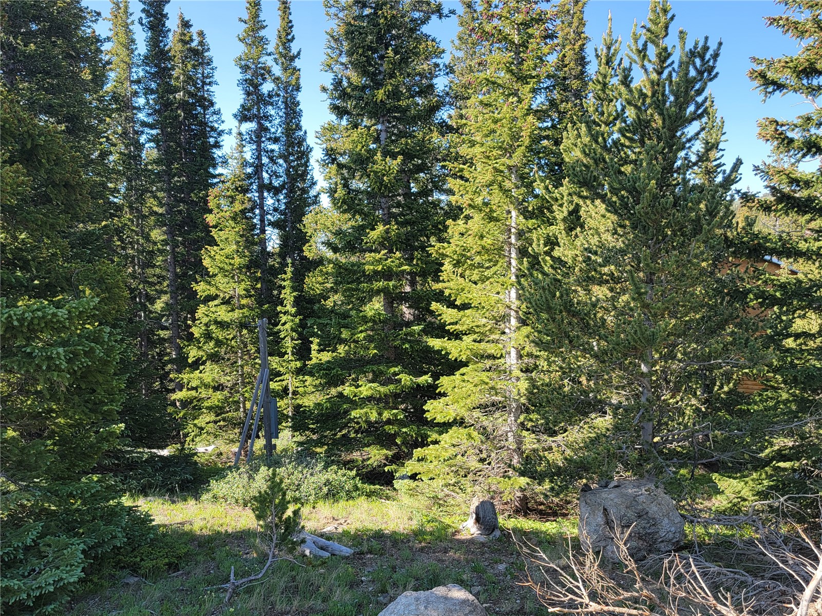 22 Rons Road Property Photo 11