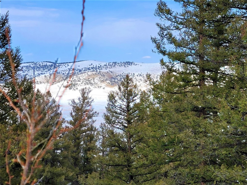 198 Middle Fork Vista Property Photo 2