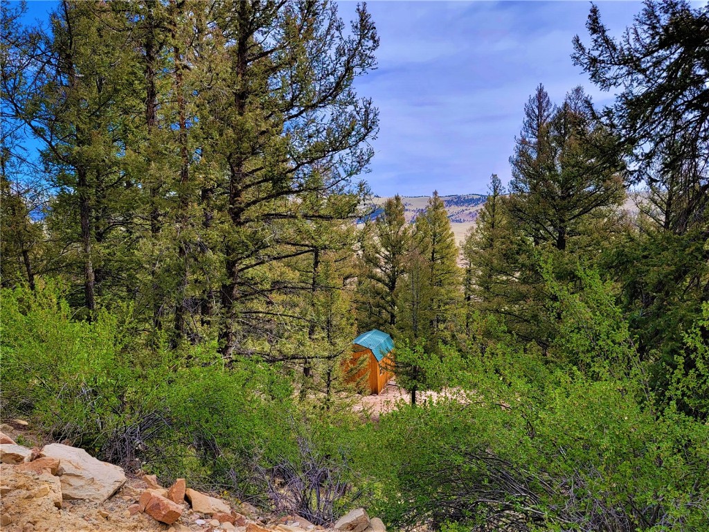 198 Middle Fork Vista Property Photo 7
