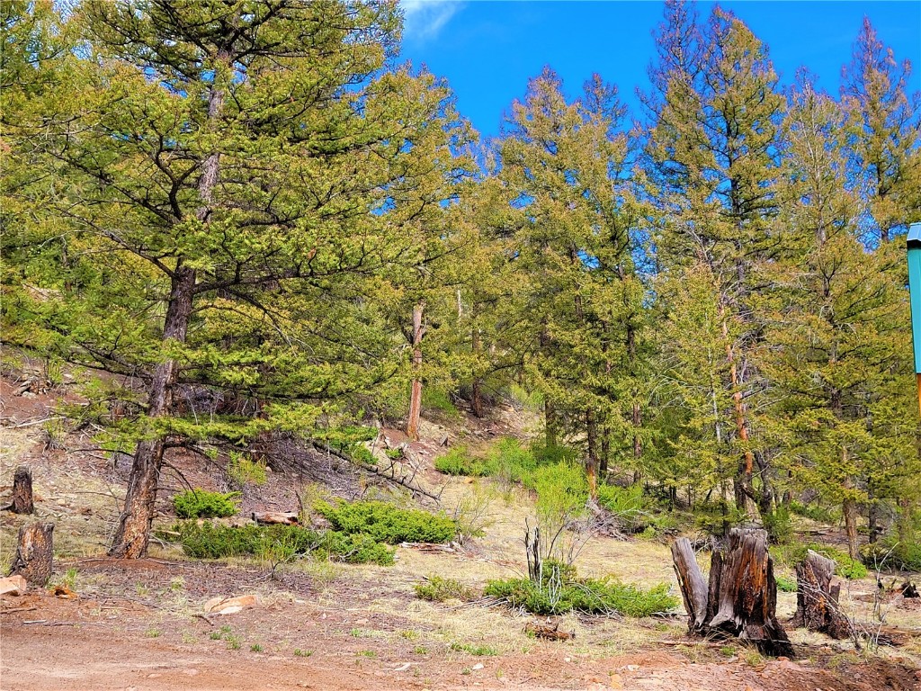 198 Middle Fork Vista Property Photo 11