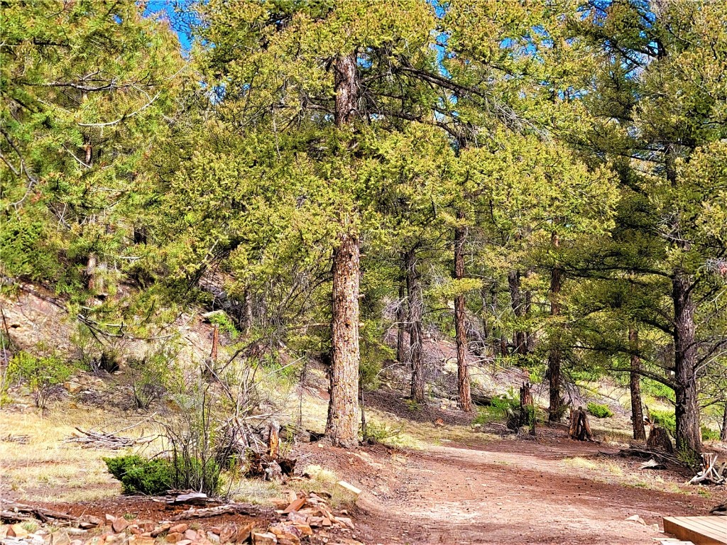 198 Middle Fork Vista Property Photo 12