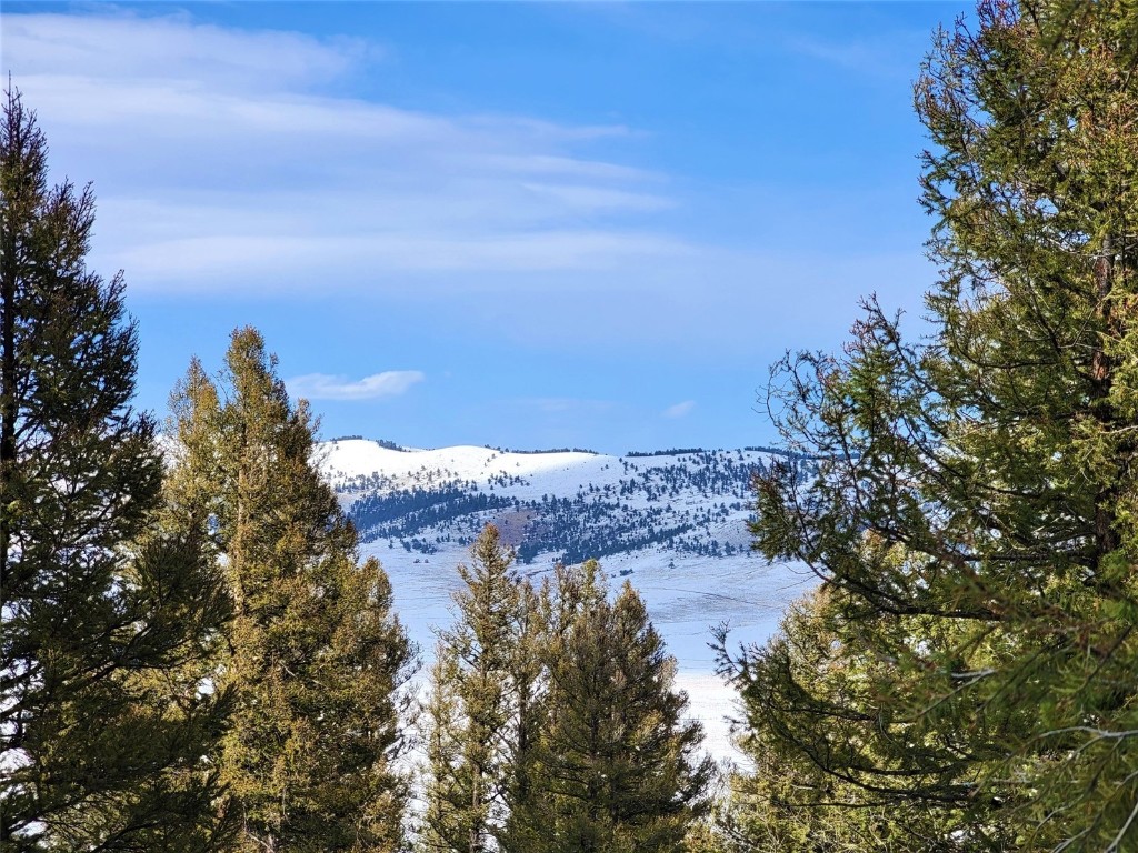 198 Middle Fork Vista Property Photo 13