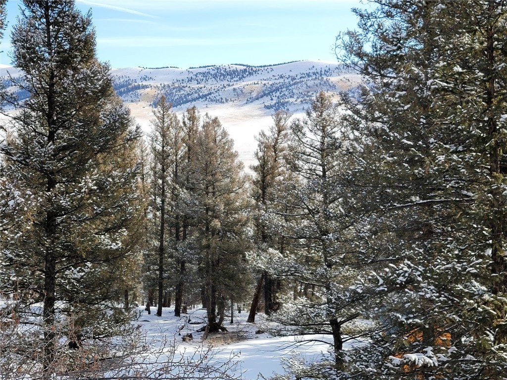 198 Middle Fork Vista Property Photo 16