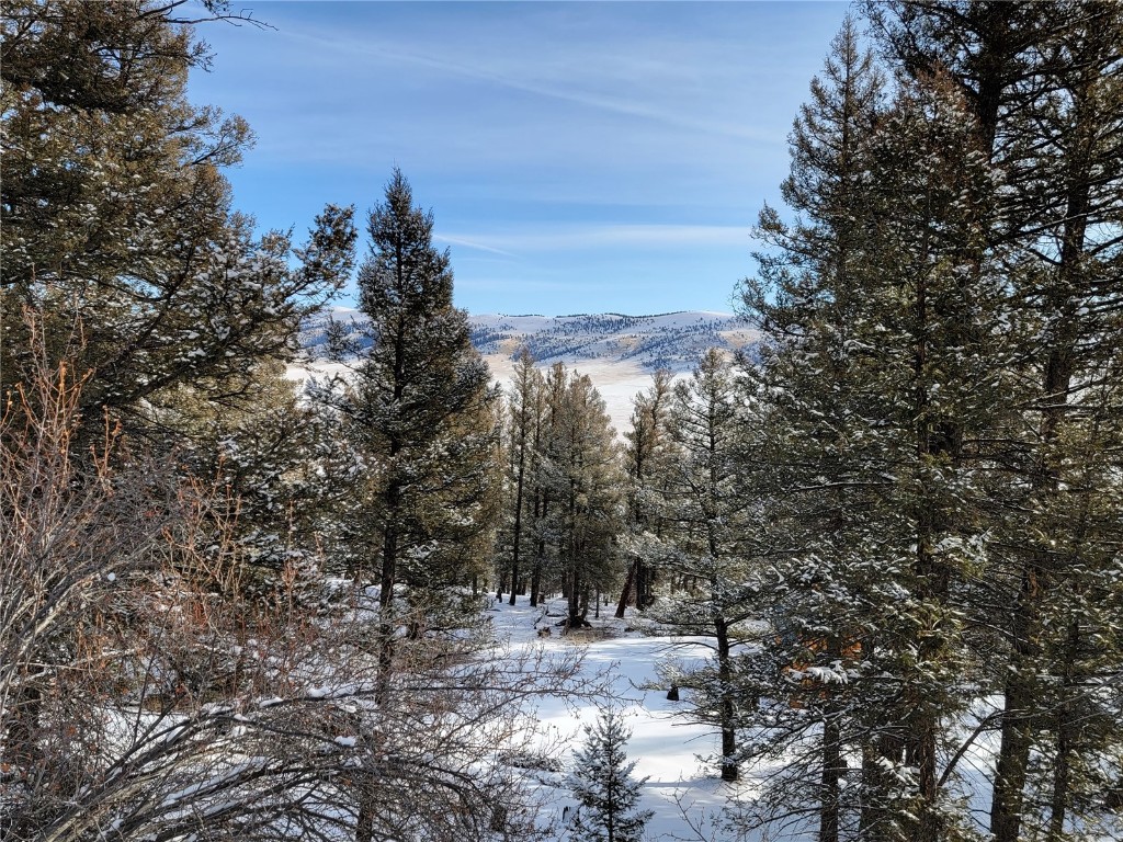 198 Middle Fork Vista Property Photo 17