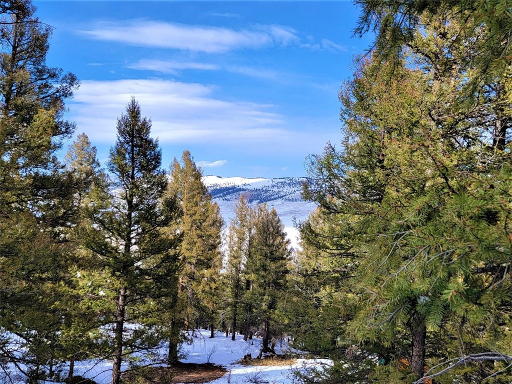 198 Middle Fork Vista Property Photo 18