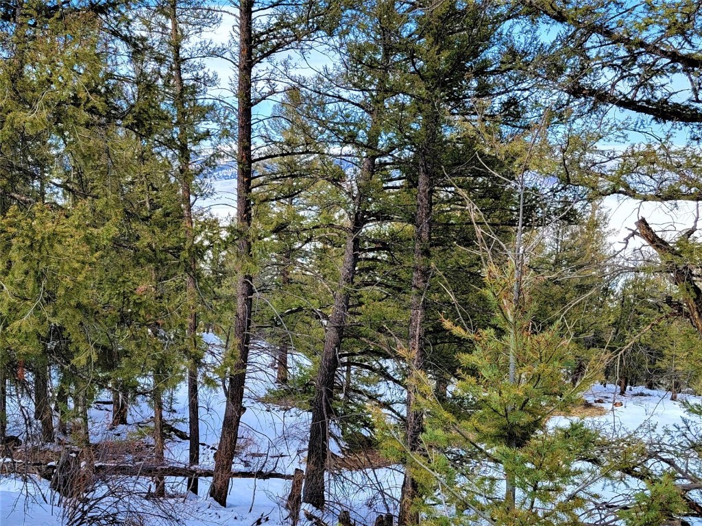 198 Middle Fork Vista Property Photo 19