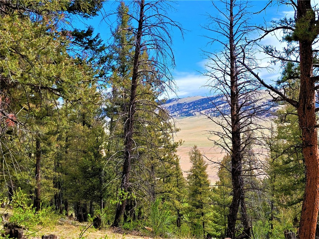 198 Middle Fork Vista Property Photo 22