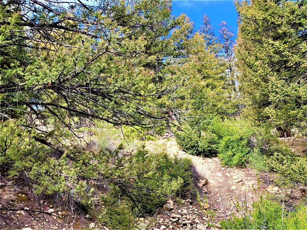 198 Middle Fork Vista Property Photo 25