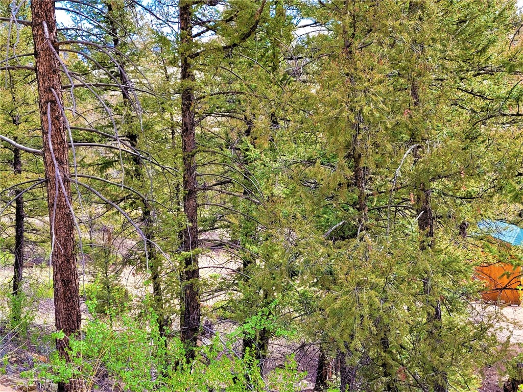 198 Middle Fork Vista Property Photo 32
