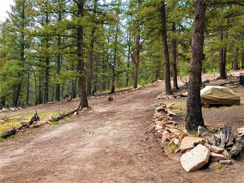 198 Middle Fork Vista Property Photo 34