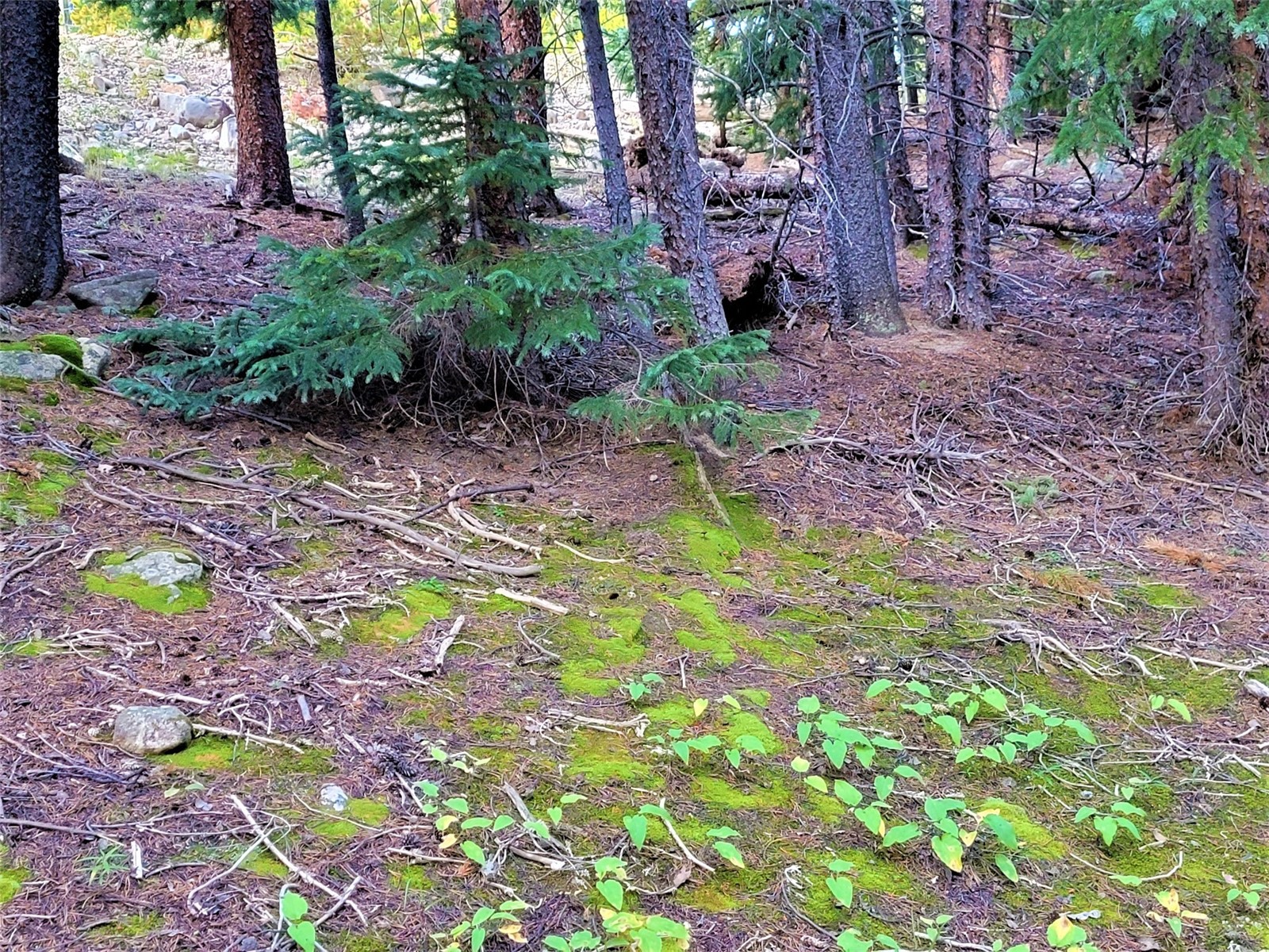 301 Vots Drive Property Photo 18
