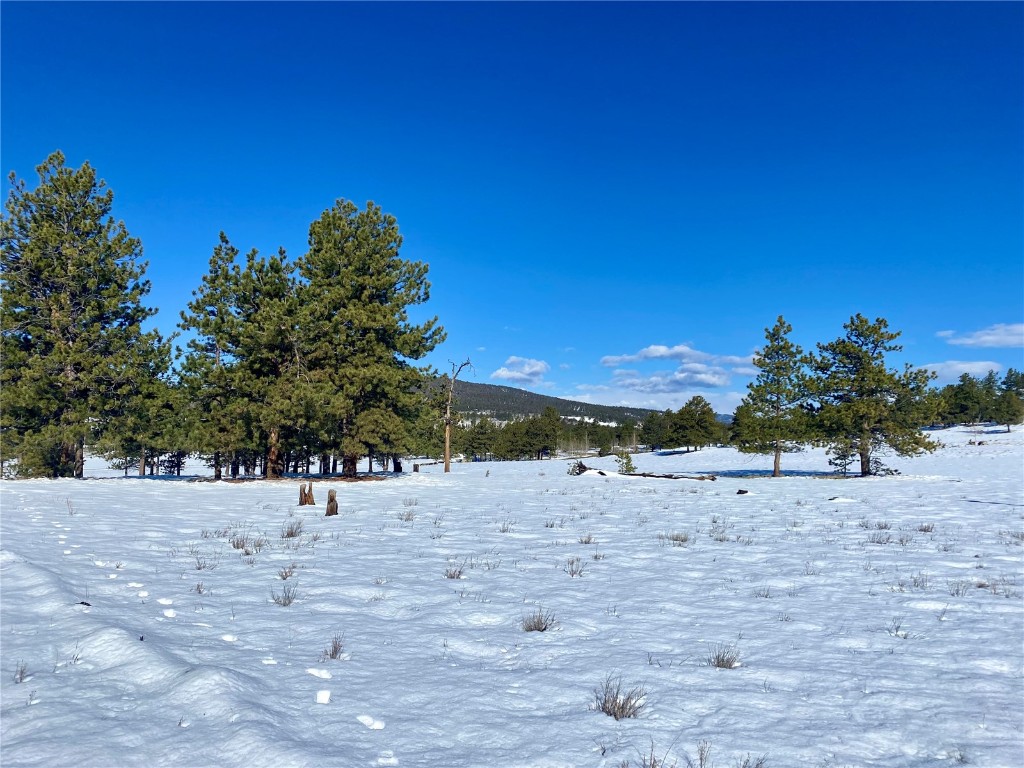 Buena Vista Real Estate Listings Main Image