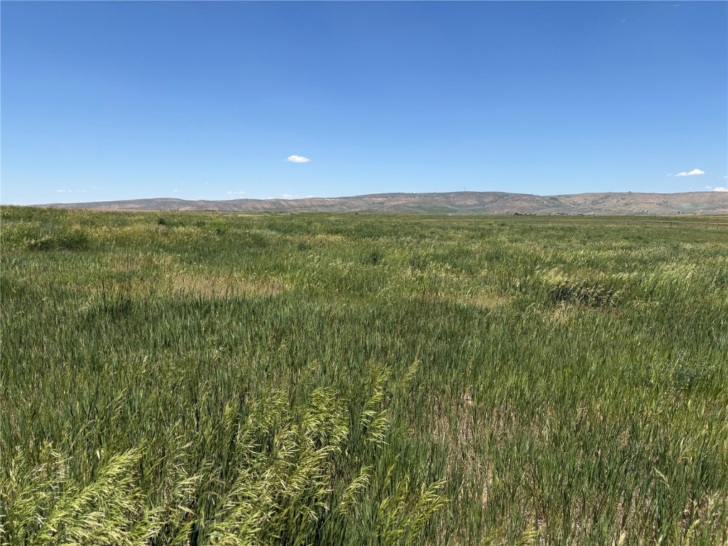 38300 Cattails Court Property Photo