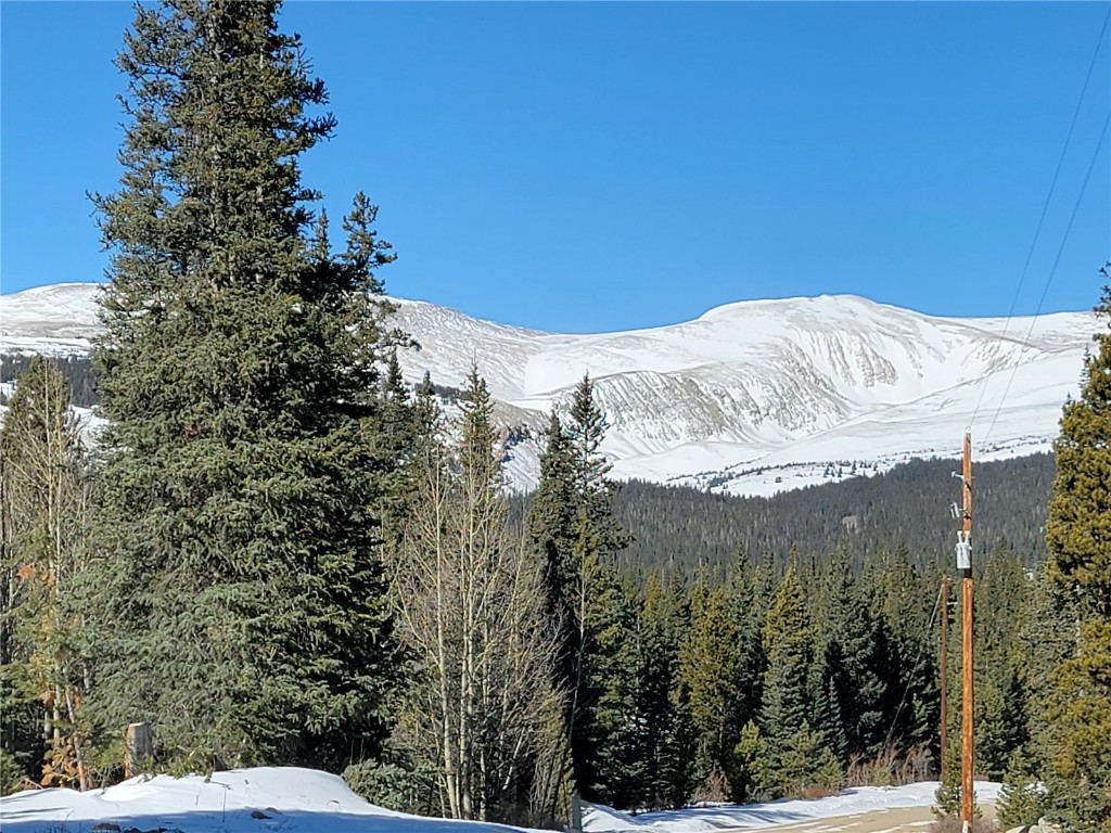441 Gold Trail Property Photo 2