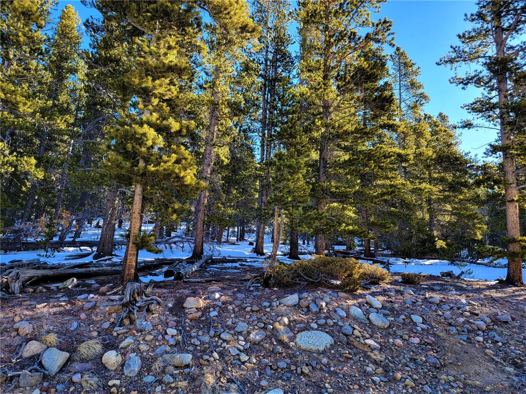 441 Gold Trail Property Photo 15