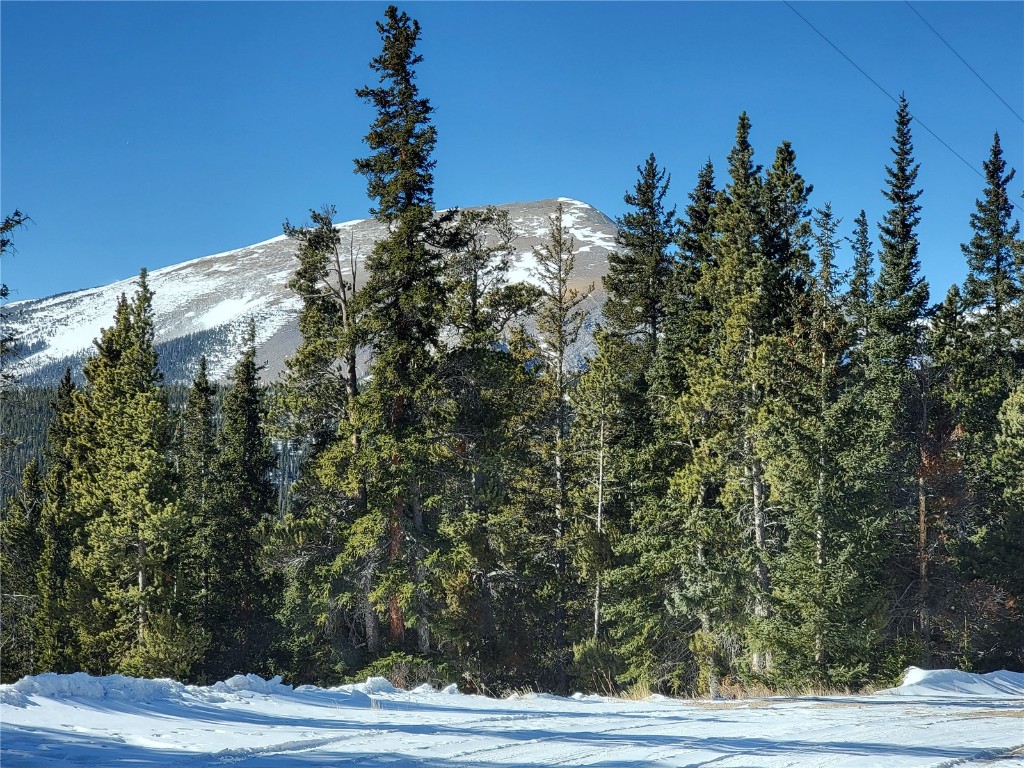 441 Gold Trail Property Photo 16