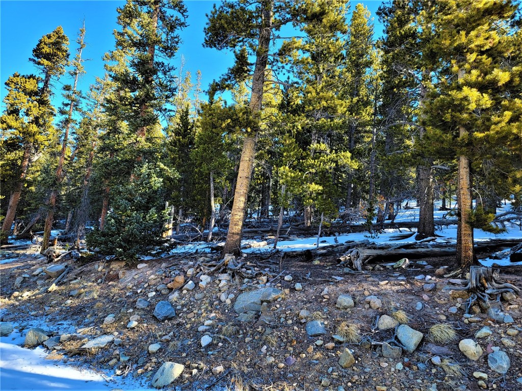 441 Gold Trail Property Photo 21