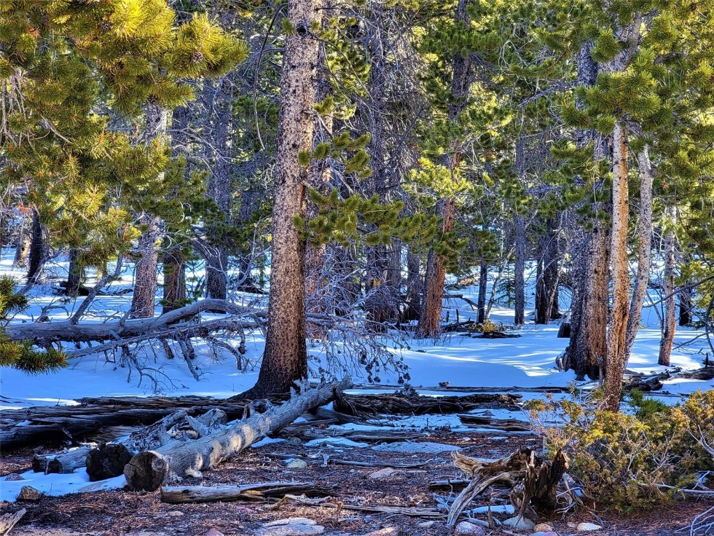 441 Gold Trail Property Photo 24