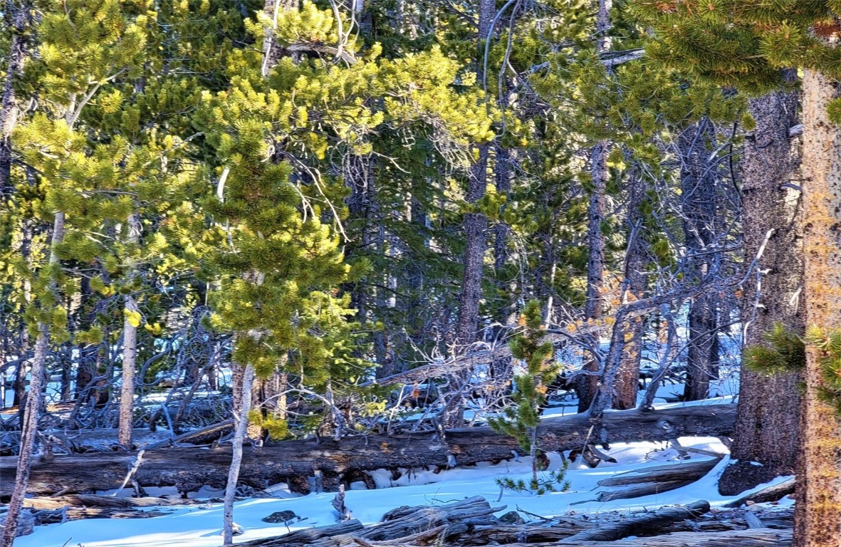 441 Gold Trail Property Photo 25