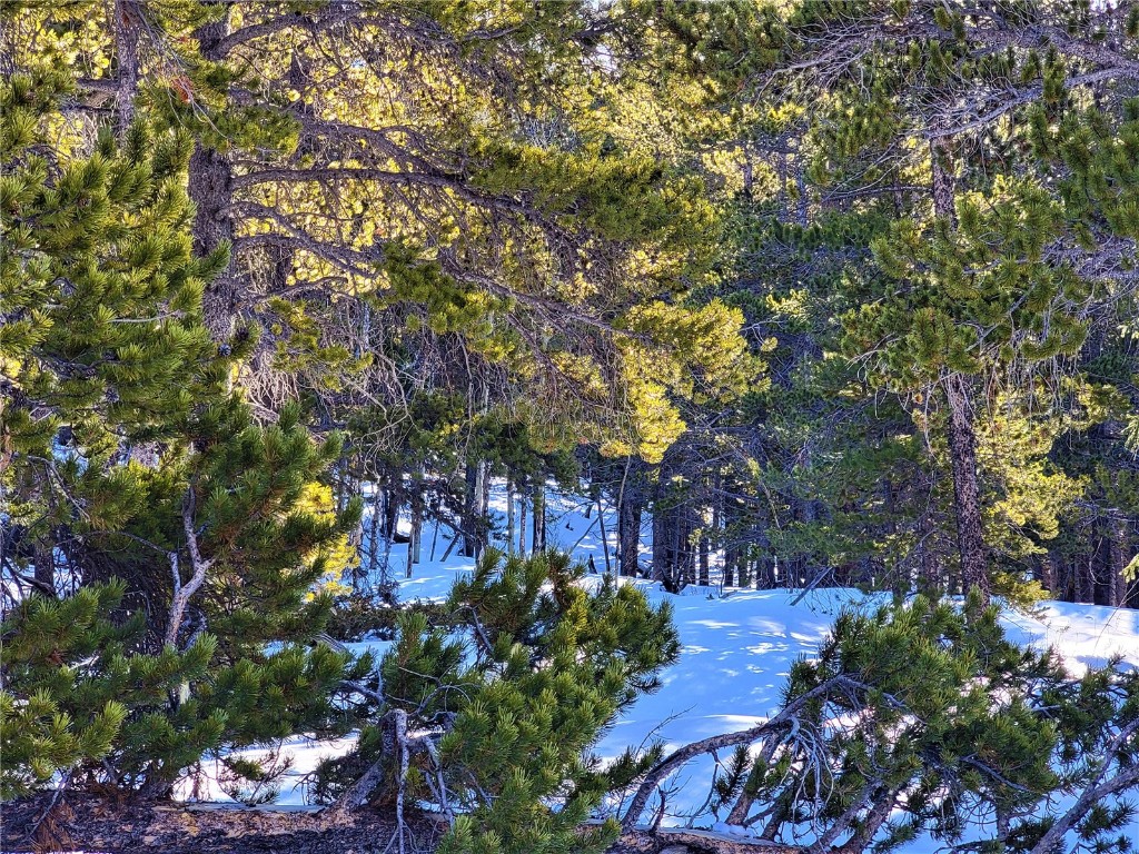 441 Gold Trail Property Photo 30