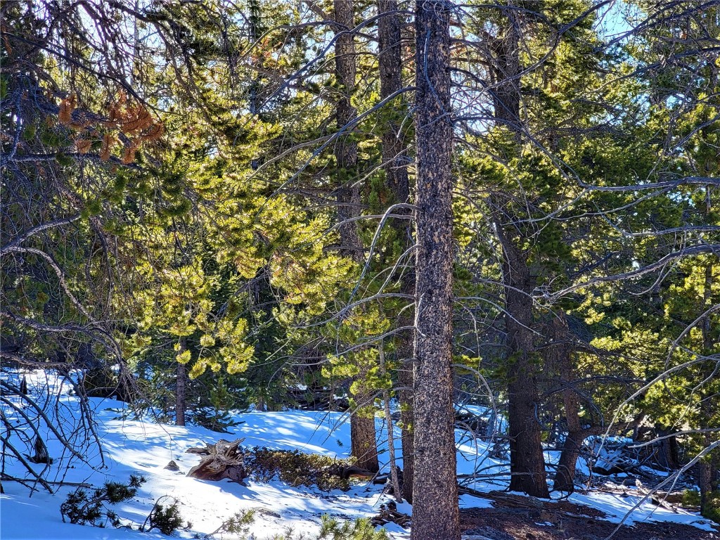 441 Gold Trail Property Photo 31