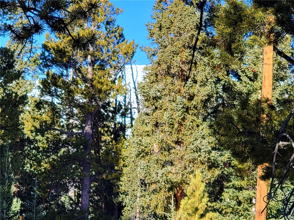 441 Gold Trail Property Photo 32