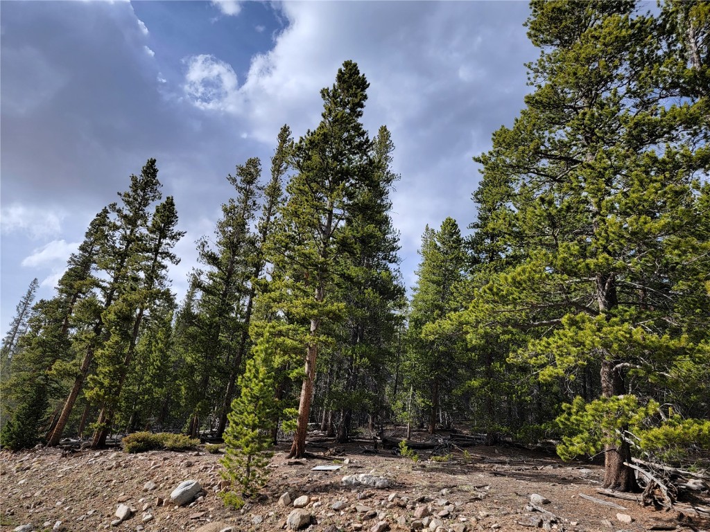441 Gold Trail Property Photo 36
