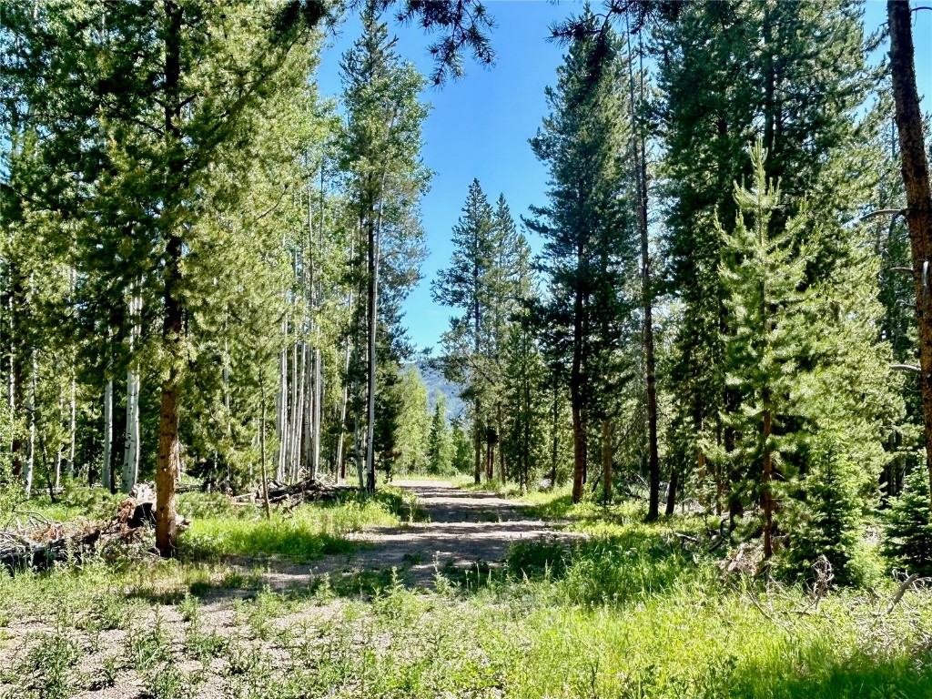 20685 Cinch Trail Property Photo 1